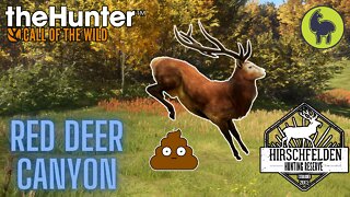 The Hunter: Call of the Wild, Fleischer- Red Deer Canyon, Hirschfelden (PS5 4K)