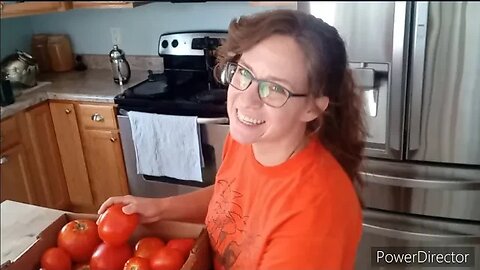 How to EASILY Split Tomatoes for Canning