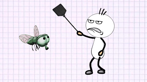 MAN AND FLY funny video animation