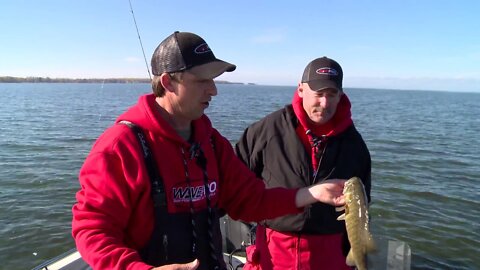 Multispecies Action on Lake of The Woods, MN