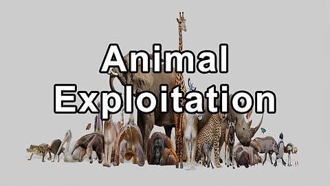 How Human and Animal Exploitation Is Interconnected