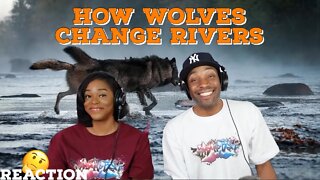 How Wolves Change Rivers | Asia and BJ React