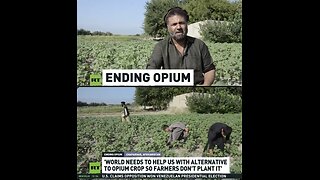 Indonesia helps Afghan farmers find alternatives to opium production