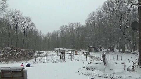 Snowy Off Grid Homestead Day & Tiny House Electrical Work