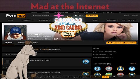 Flamenco's Porn Accounts - Mad at the Internet