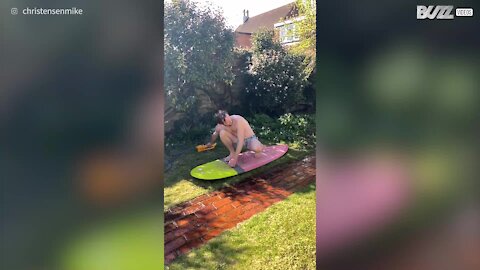 Dad surfs on turf with kids in garden!