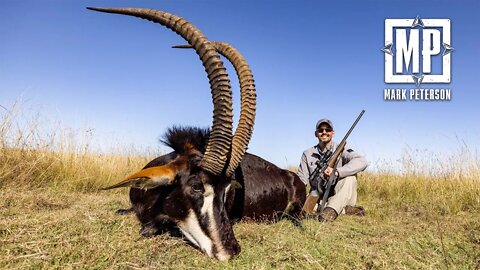 Giant Sable in South Africa, Plains Game 1 of 2 | Mark V Peterson Hunting
