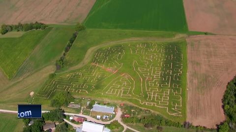 Wisconsin corn maze honors music legend with impressive design