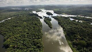 Monthly Deforestation Up More Than 88% In Brazil's Amazon