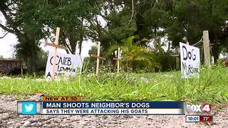 Neighbor shoots dogs to death to protect goats and kids