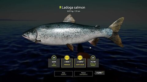 Russian Fishing 4 Ladoga Archipelago Ladogo Salmon 3 . 971 Kg