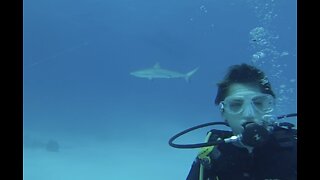 Kid Dives with Sharks in the Bahamas