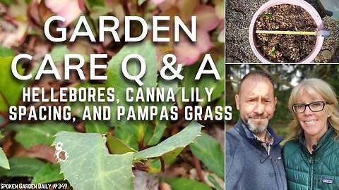 🌱❔ Garden Care Q & A | SGD 349 ❔🌱