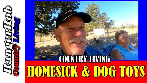 Washington State, Homesick, Rotten Eggs & Dog Toys