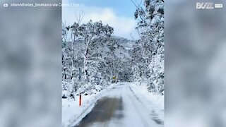 Traverser une montagne enneigée de Tasmanie