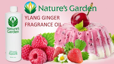 Ylang Ginger Fragrance Oil- Natures Garden
