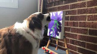 Cagnolina dimostra d'essere il Picasso del mondo canino