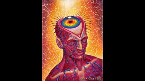 Pineal Gland Basics and Beyond