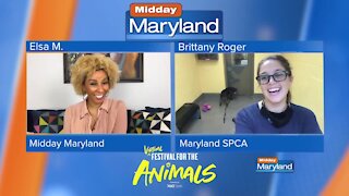 Maryland SPCA - Virtual Festival for the Animals