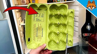 THIS is why you should NEVER throw away the Egg Carton 💥 (Surprisingly GENIUS) 🤯