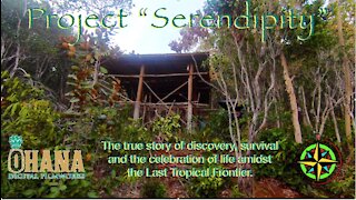 Project Serendipity: The Last Tropical Frontier #14