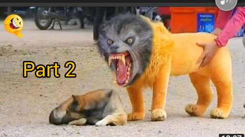 Troll Prank Dog Funny & fake Lion and Fake Tiger Prank To dog & Huge Box Prank to dog part 2