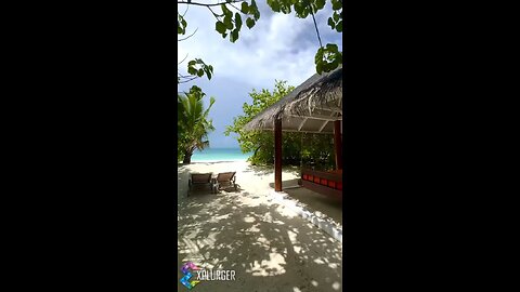 beach ⛱️⛱️🏖️🏖️🏖️⛱️⛱️⛱️⛱️🏖️🏖️🏖️⛱️⛱️ in Maldives ⛱️⛱️⛱️⛱️⛱️⛱️⛱️