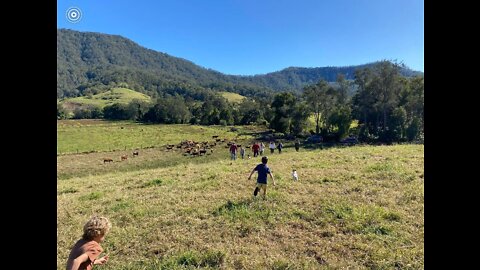 Next Gen Family Farms, Farm Tour plus all the details you've been waiting to see 28/07/22.