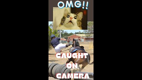 Funny fails and falls caught on camera