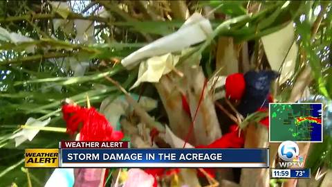 Residents in The Acreage assess damage from early AM storm