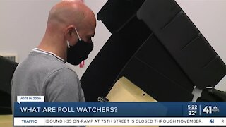 What are poll watchers?