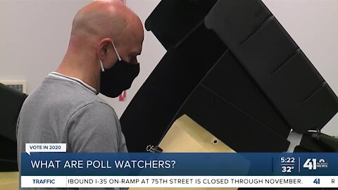 What are poll watchers?