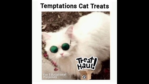 TEMPTATIONS CAT TREATS