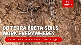 What Is Terra Petra Soils? Can You Make Any Soil Terra Petra Soil? Soil Scientist Opinion.