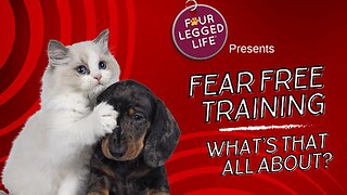 What is Fear Free Training?