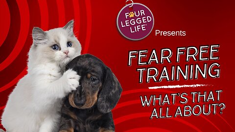 What is Fear Free Training?