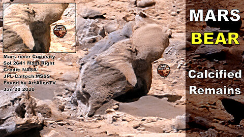 The MARS BEAR. Calcified Remains Explained. ArtAlienTV 2K