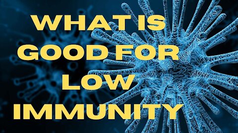 what is good for low immunity