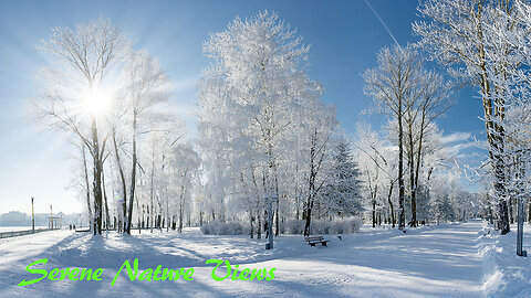 Winter Whispers: Serene Nature Views with Relaxing Melodies