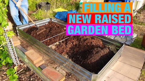 Filling a new raised garden bed