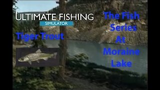 Ultimate Fishing Simulator: The Fish - Moraine Lake - Tiger Trout - [00052]