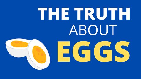 👉The TRUTH about EGGS!