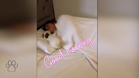 Puppy show how to wake up mommy