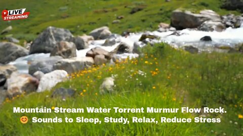 Mountain Stream Water Torrent Murmur Flow Rock.😊 Sounds to Sleep, Study, Relax, Reduce Stress