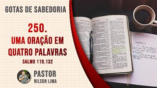 🔴 250. Uma oração em 4 palavras – Salmo 119.132 - Pr. Nilson Lima #DEVOCIONAL