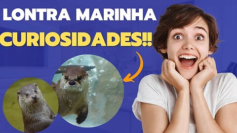 Mundo Animal Lontra Marinha Curiosidades