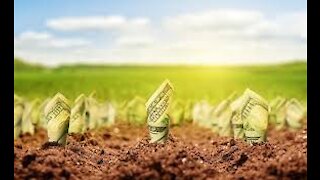 Farming For Investors