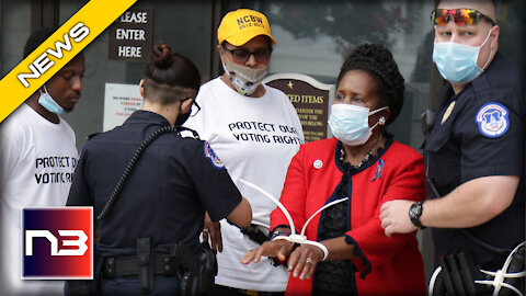 TX Dem Sheila Jackson Lee Arrested in DC during Protest