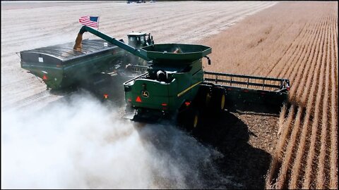 Full Power Bean Harvest 90 Ft At A Time!! #8