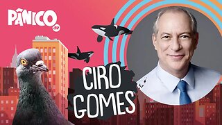 CIRO GOMES - PÂNICO - AO VIVO - 29/09/20